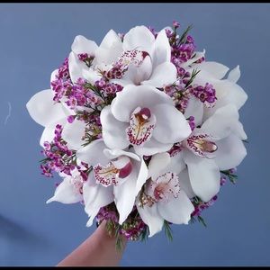 Meet your Posher, Bacima